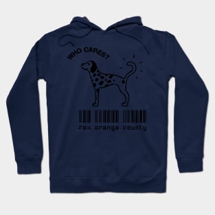 rex orange county who cares scan Hoodie